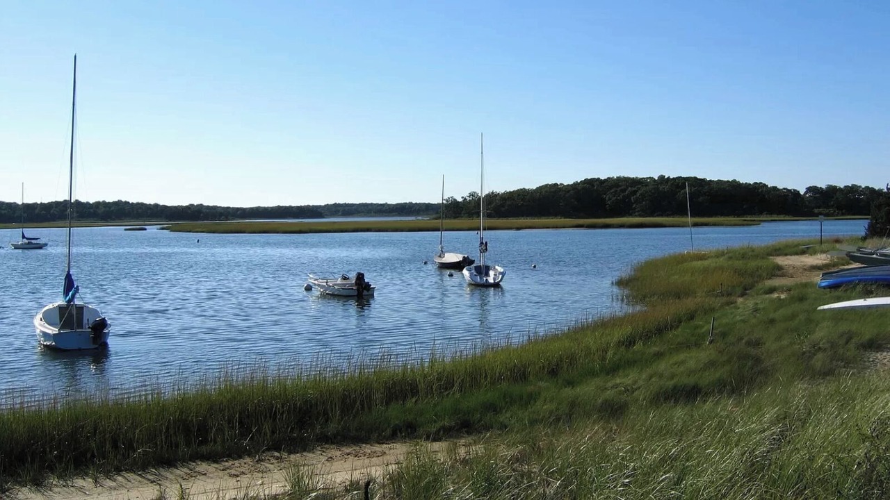 Photo of Others in Springs