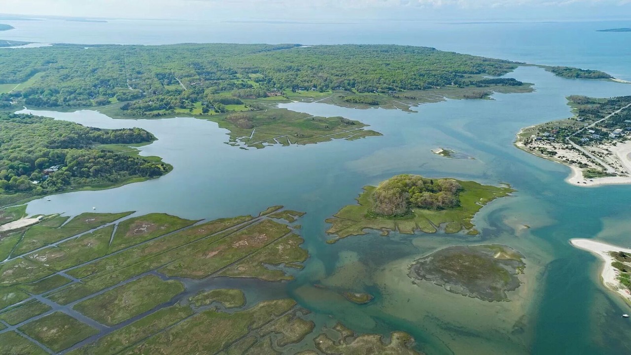 Photo of Outdoor in Springs