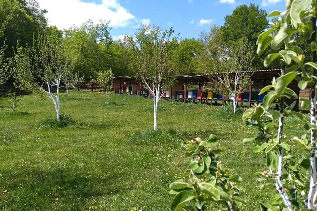 Photo of Outdoor in Perusic