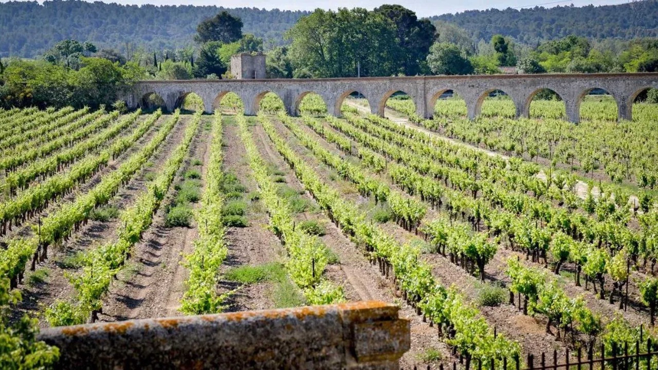 Photo of Others in Azille