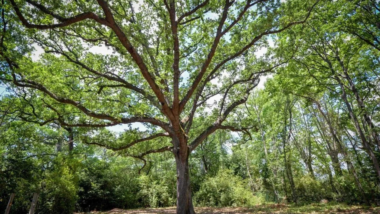 Photo of Outdoor in Azille