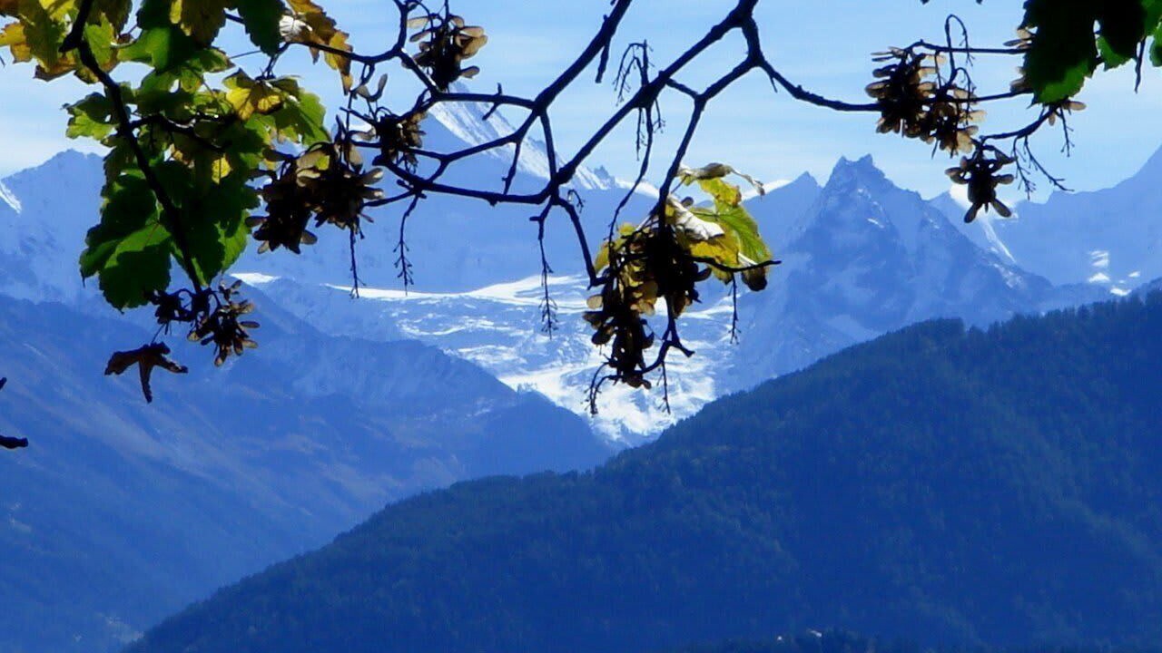 Photo of Others in Montana