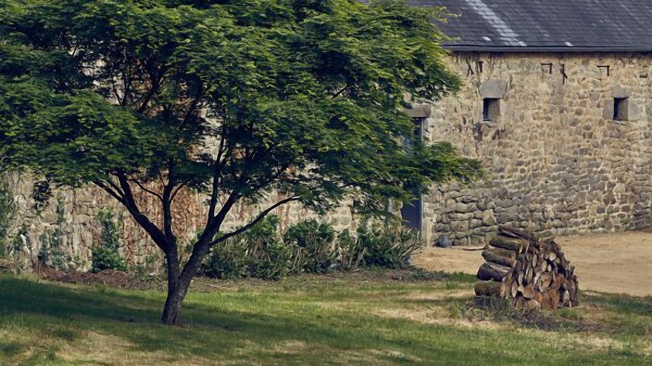 Photo of Outdoor in Plogastel-Saint-Germain