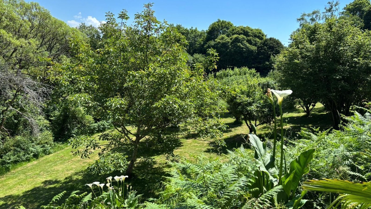 Photo of Outdoor in Plogastel-Saint-Germain