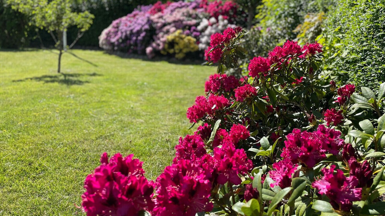 Photo of Outdoor in Liseleje