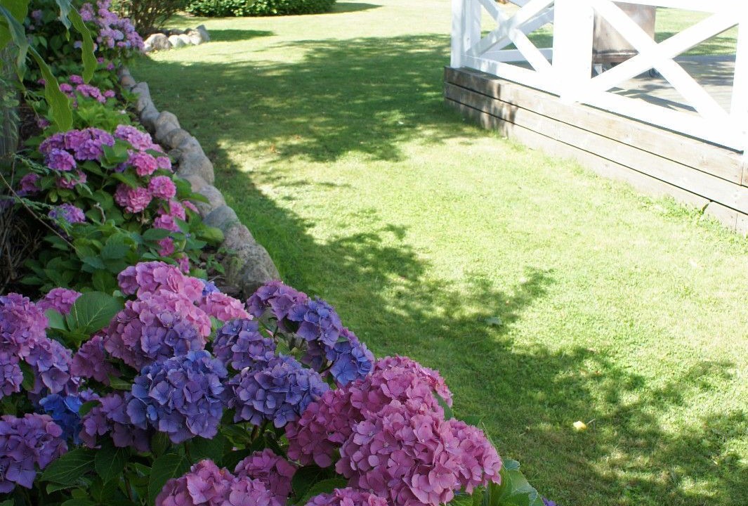 Photo of Outdoor in Liseleje