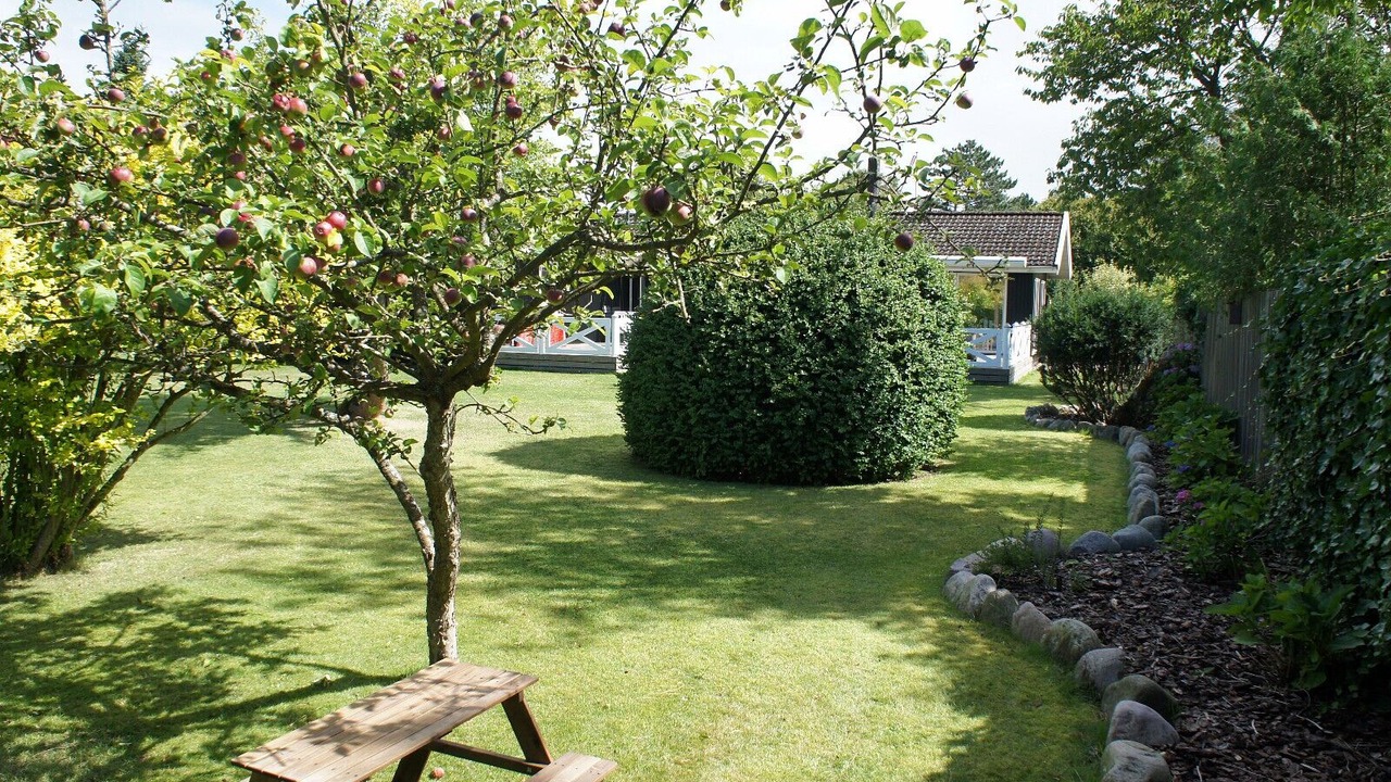 Photo of Outdoor in Liseleje
