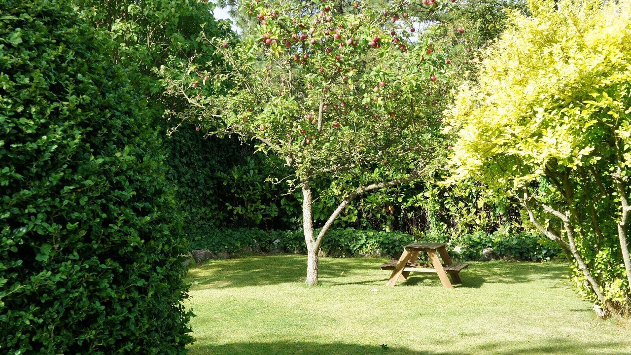 Photo of Outdoor in Liseleje