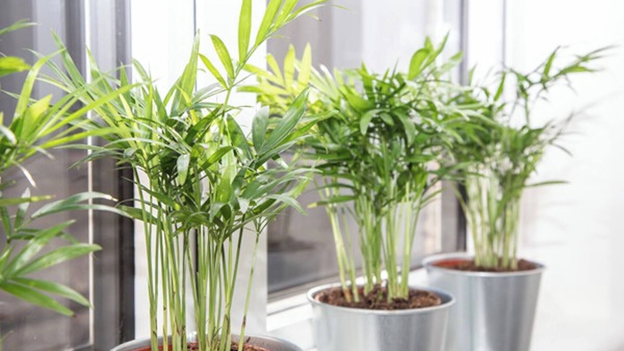 Photo of Others in Marlborough