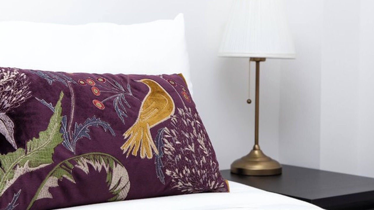 Photo of Others in Marlborough