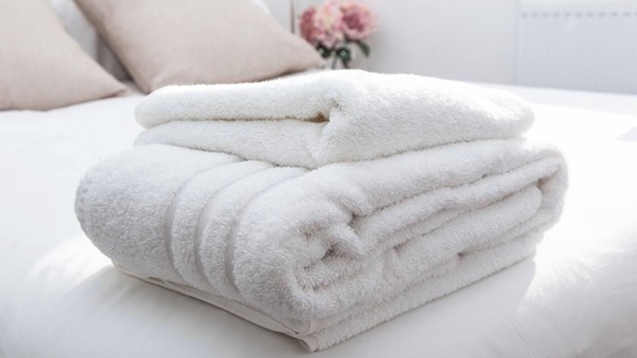 Photo of Others in Marlborough