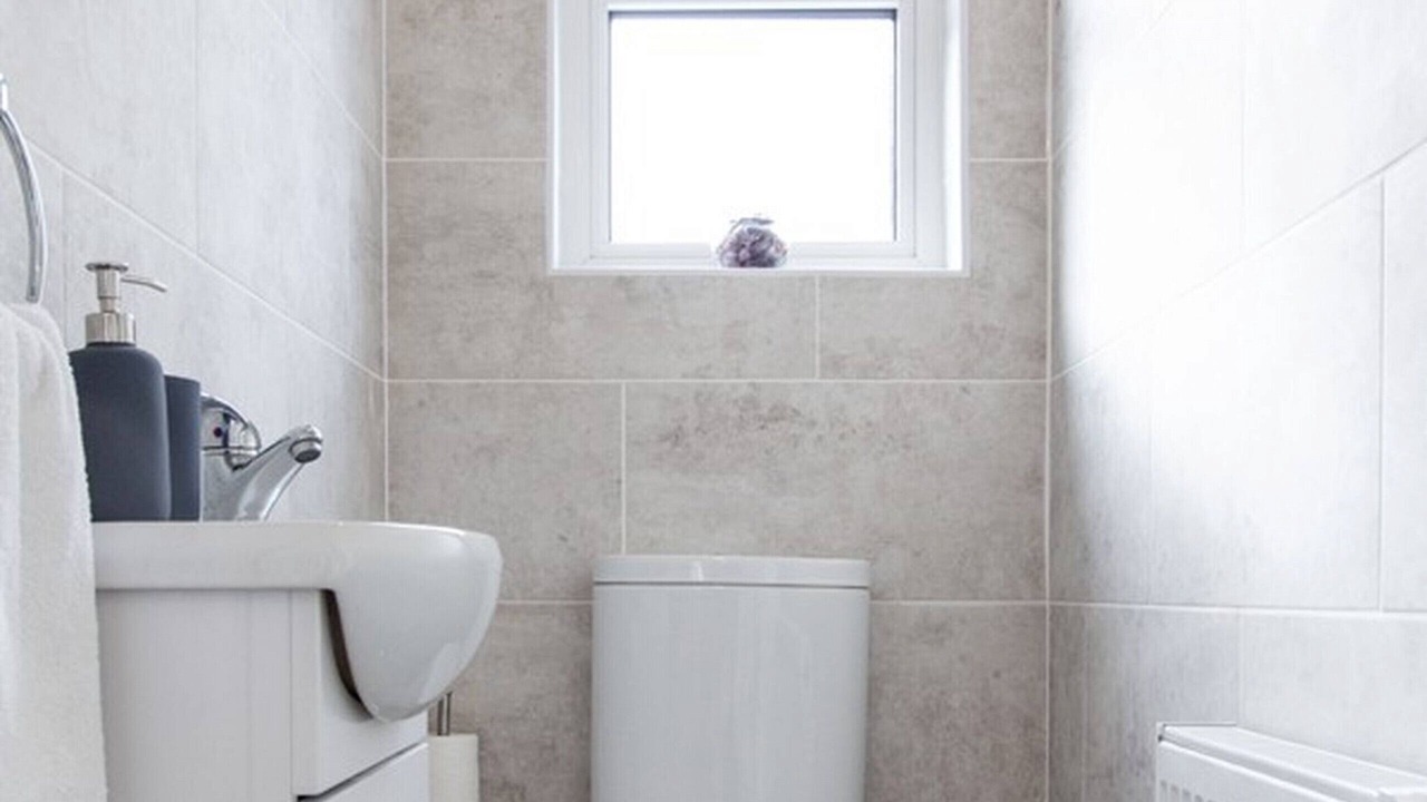 Photo of Others in Marlborough