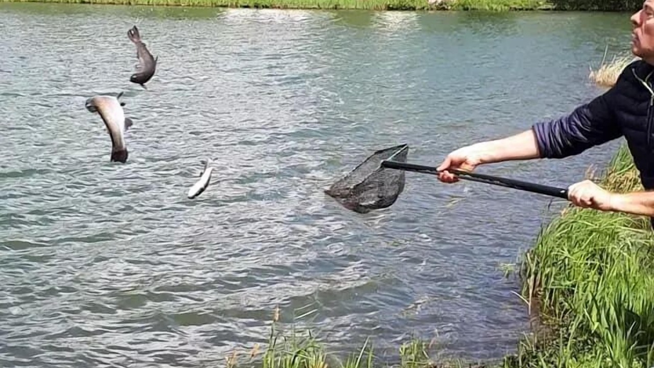 Photo of Others in Martigny