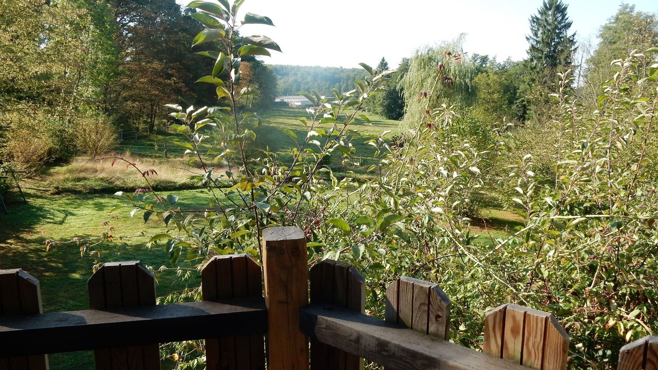 Photo of Outdoor in Niderviller