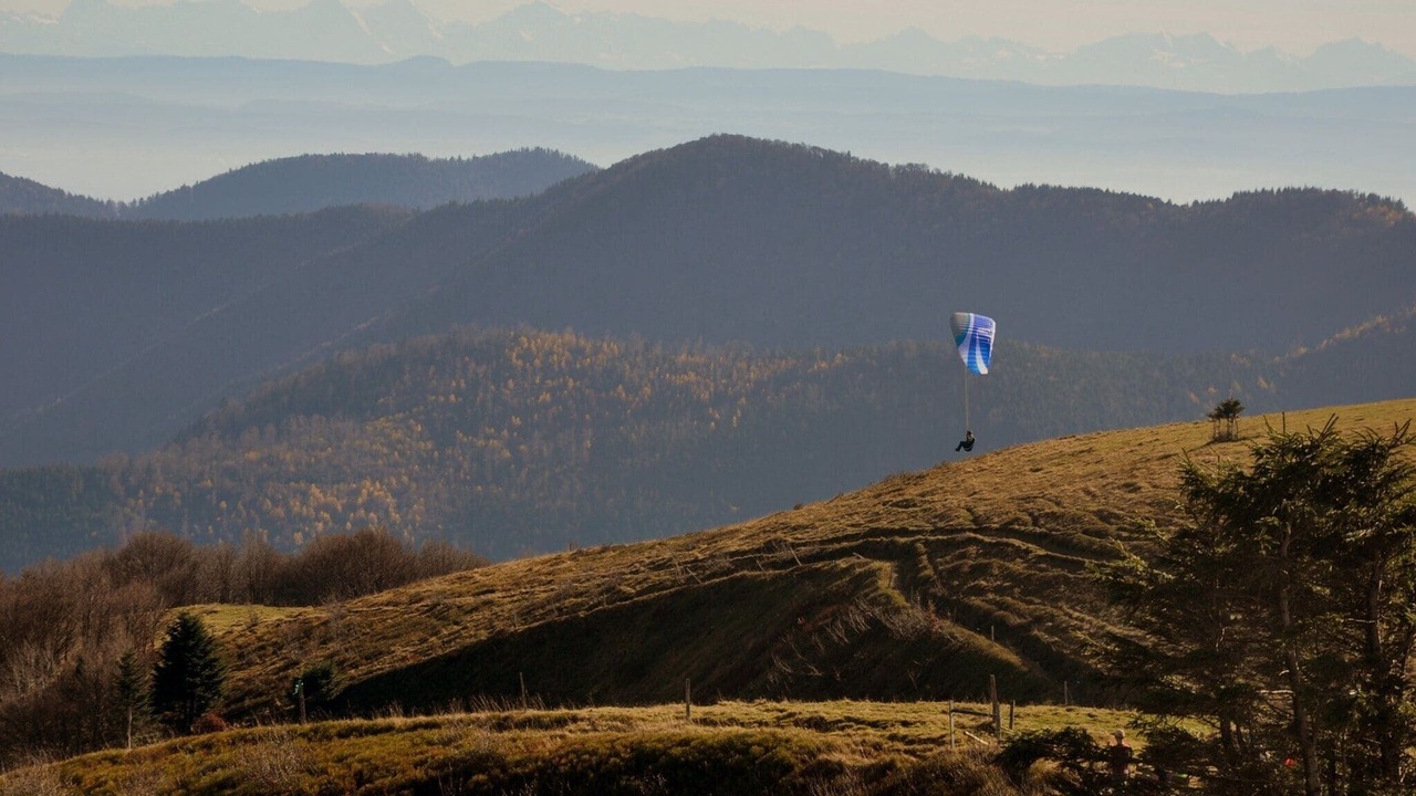 Photo of Others in Niderviller