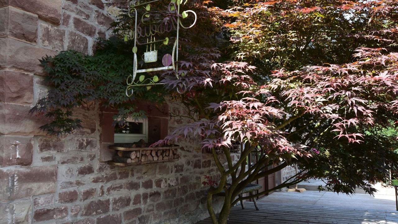 Photo of Outdoor in Niderviller