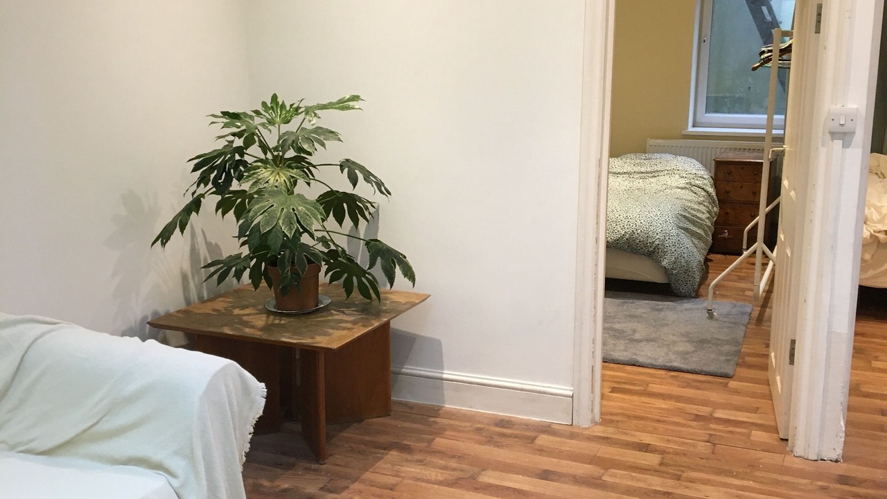 Photo of Others in St. George's