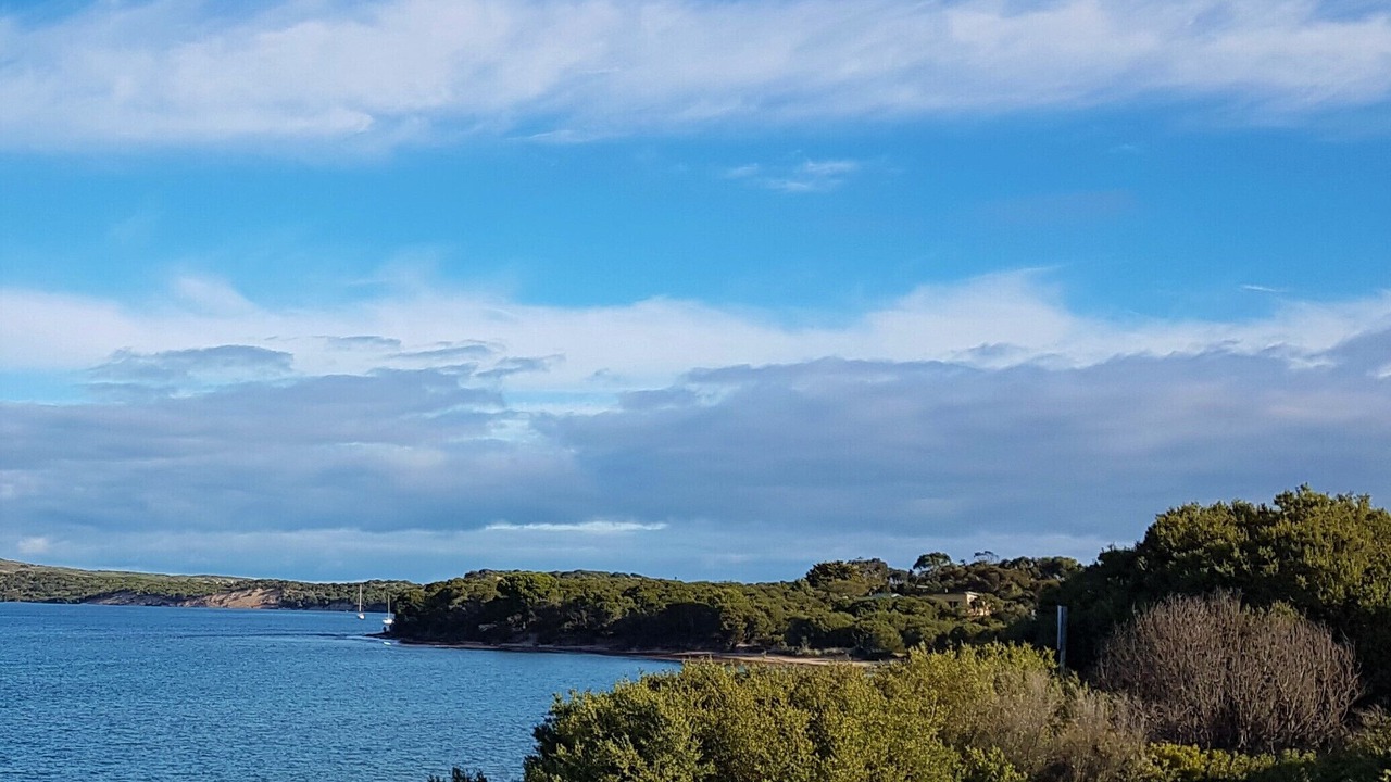 Photo of Outdoor in Powlett River