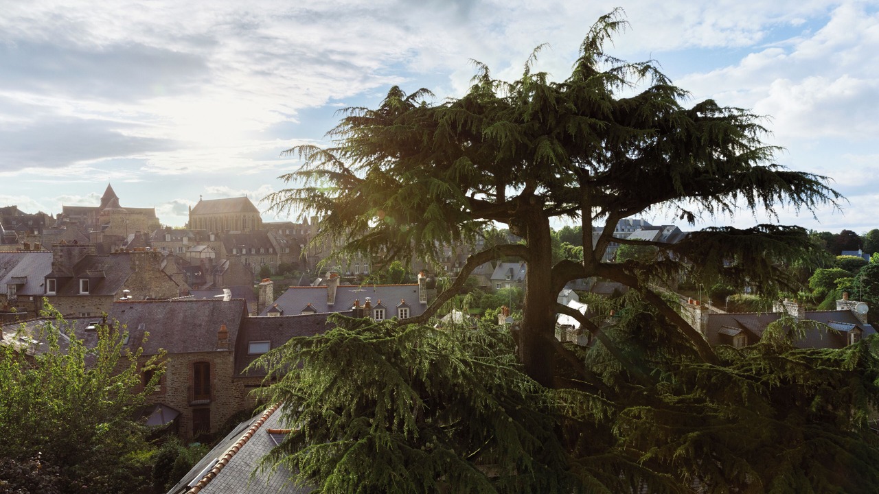 Photo of Bedroom in Dinan