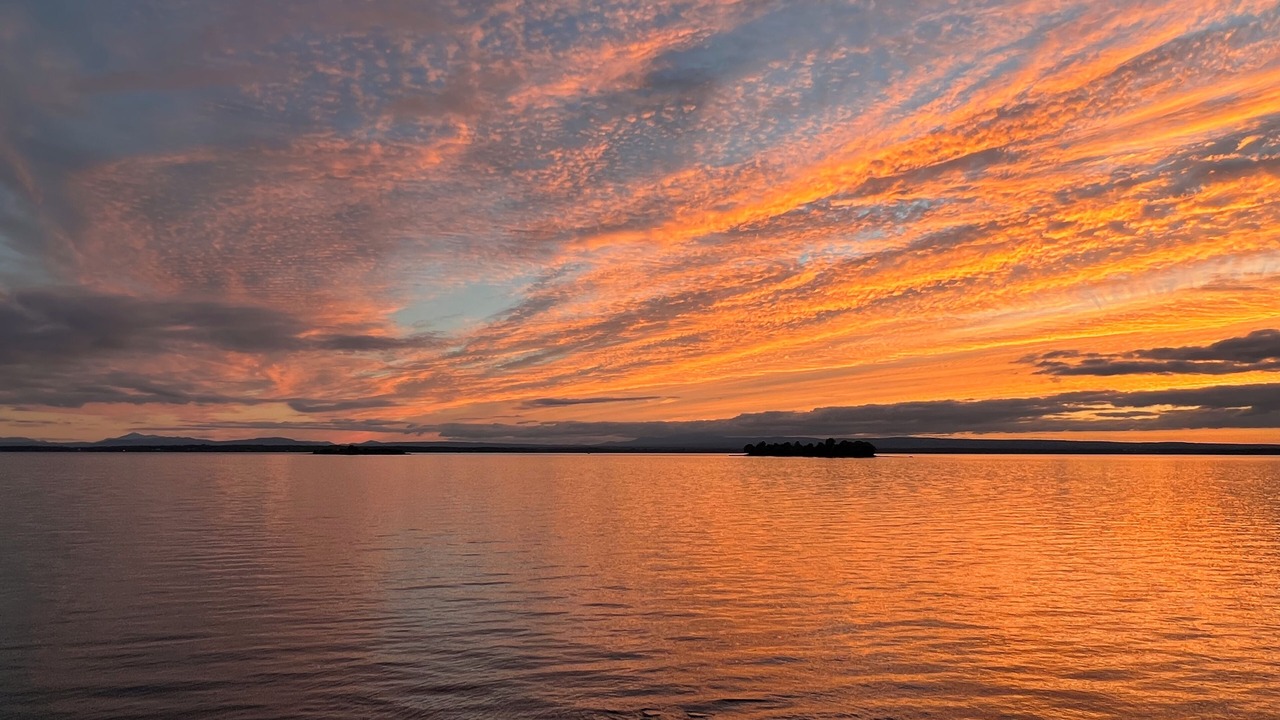 Photo of Others in Grand Isle