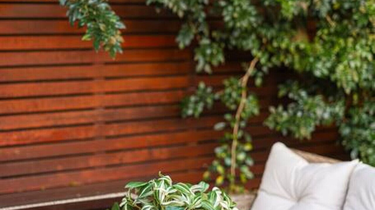 Photo of Outdoor in Leichhardt