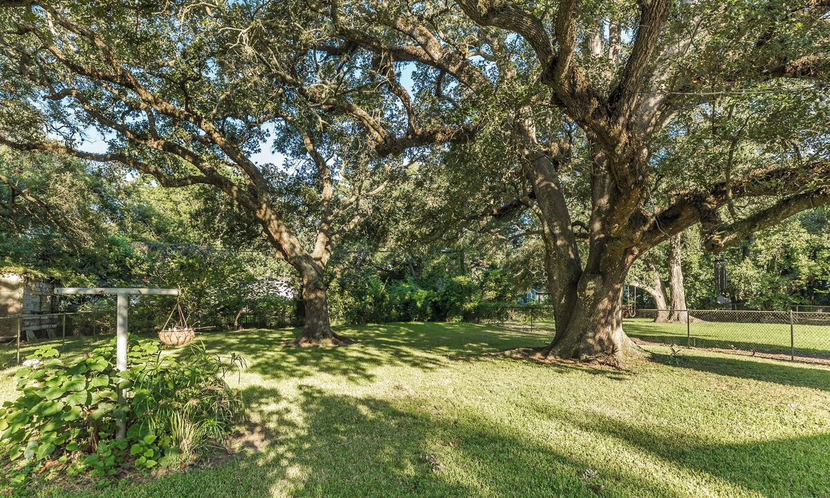 Photo of Outdoor in Lake Jackson