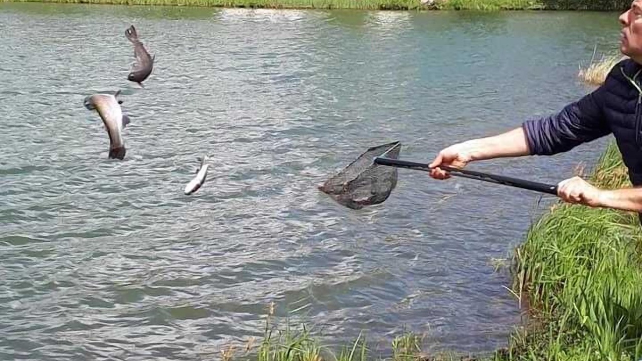 Photo of Outdoor in Martigny