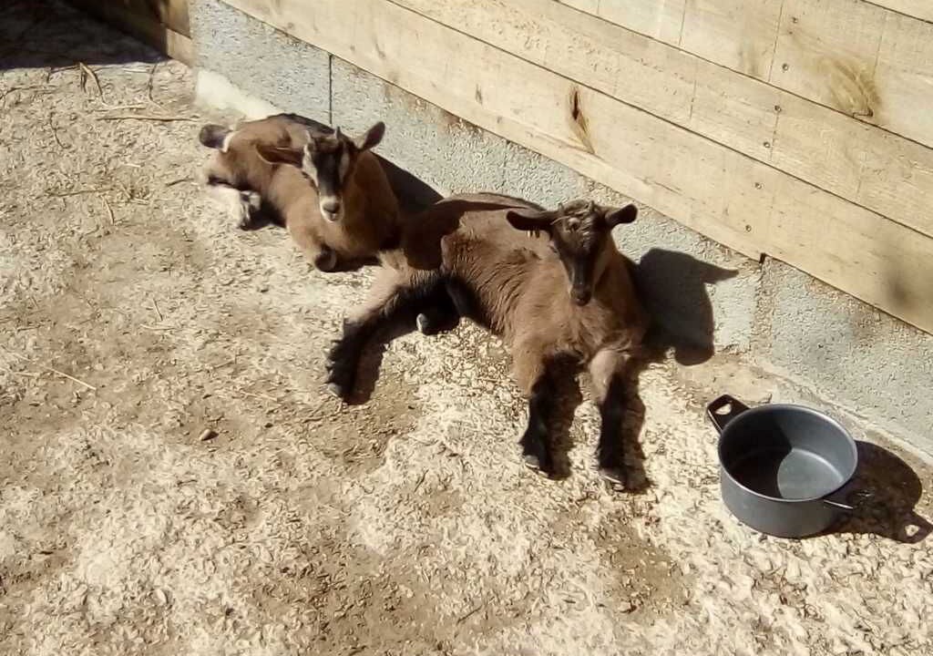 Photo of Others in Villefranche-du-Perigord