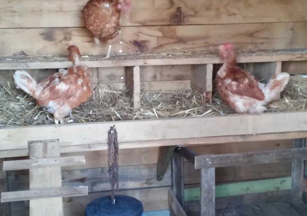 Photo of Others in Villefranche-du-Perigord