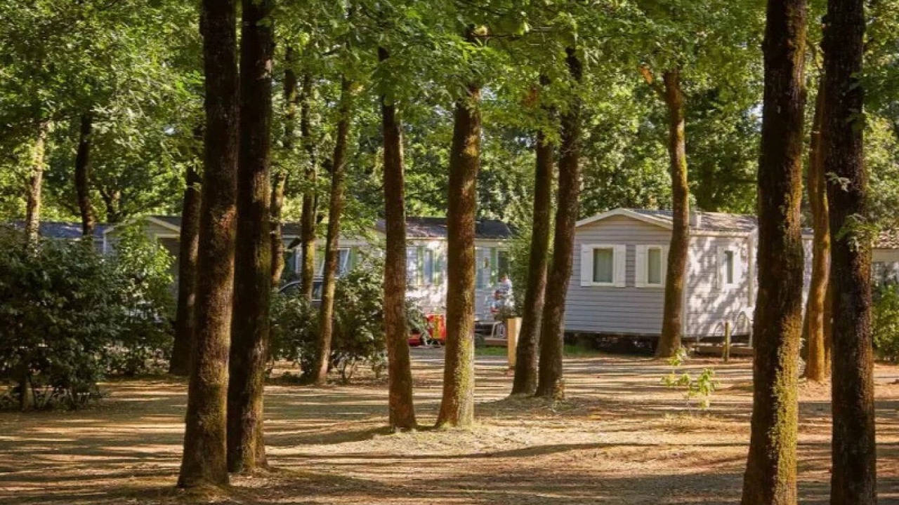Photo of Outdoor in La Boissiere-de-Montaigu