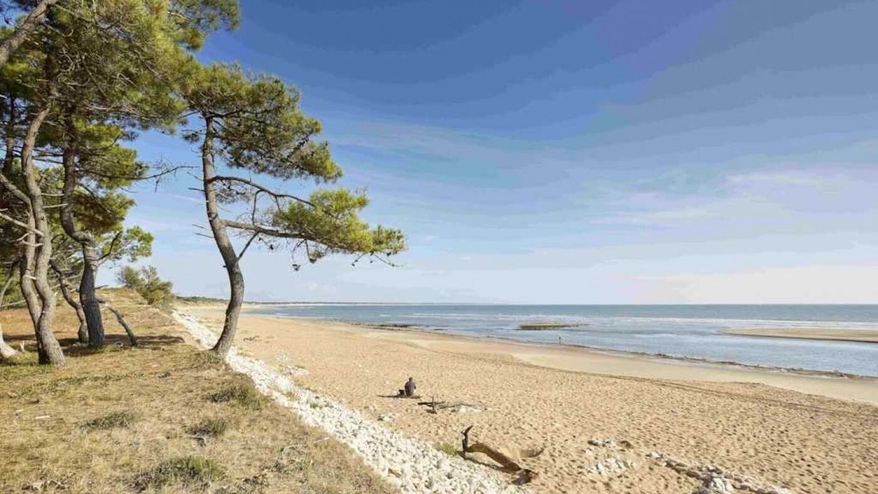 Photo of Others in Jard-sur-Mer