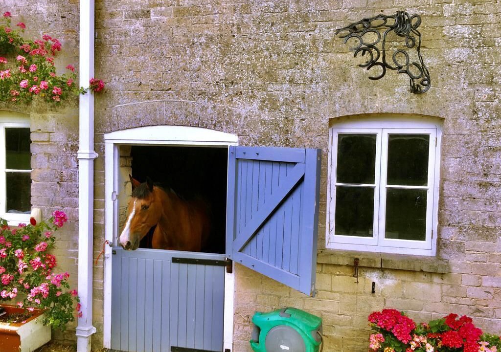 Photo of Outdoor in Badminton