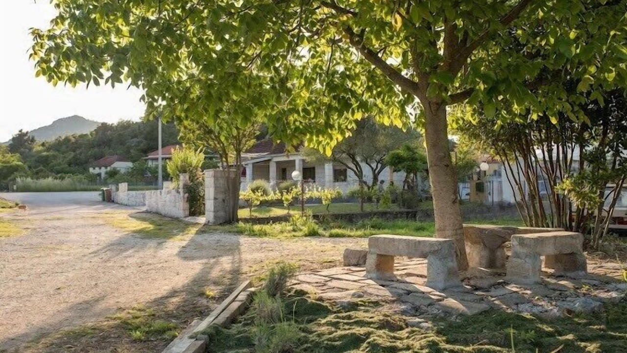 Photo of Outdoor in Stasevica