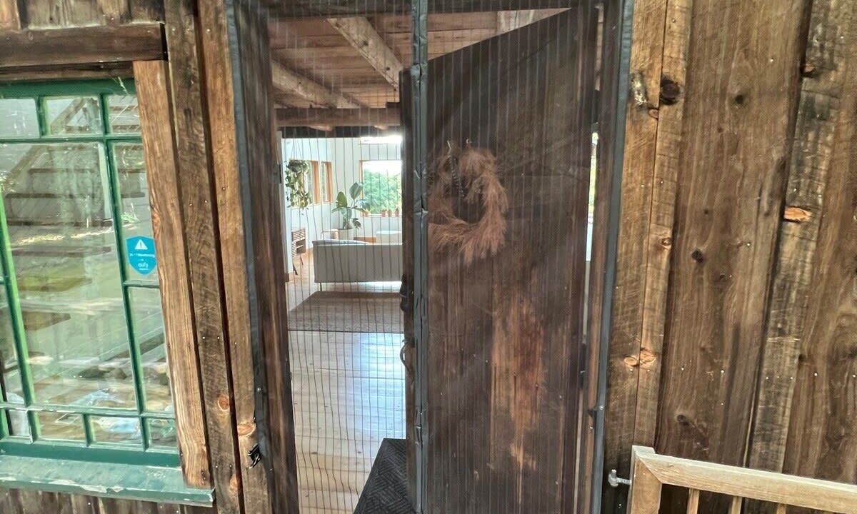 Photo of Outdoor in Stroudsburg