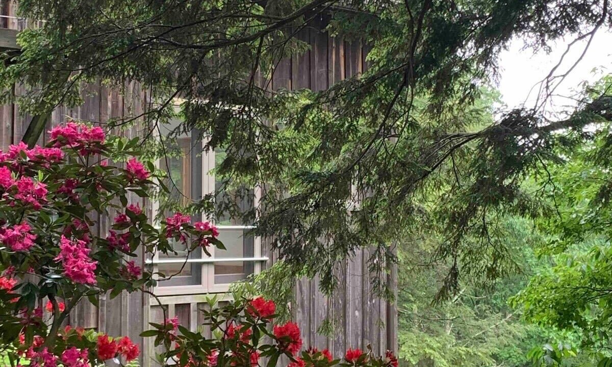 Photo of Outdoor in Stroudsburg