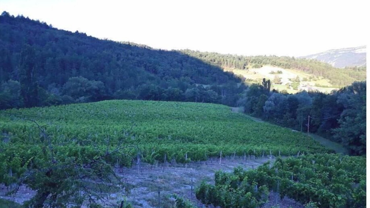 Photo of Outdoor in Barsac