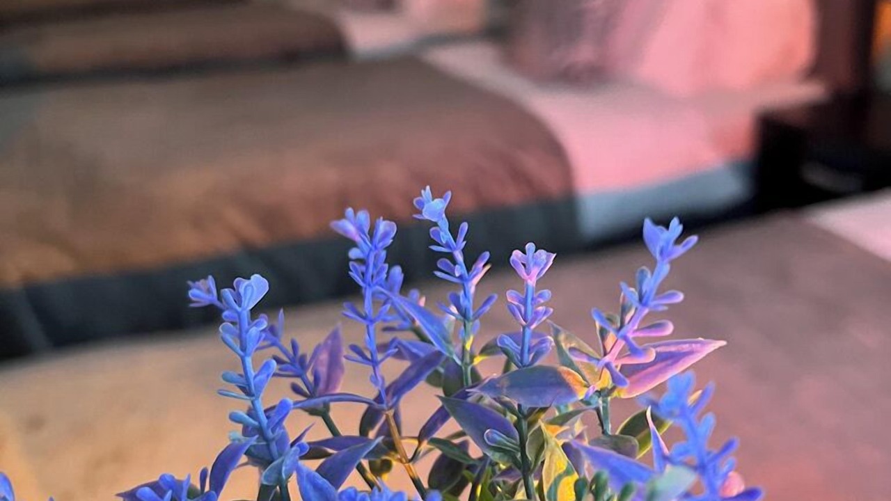 Photo of Others in Old Trafford