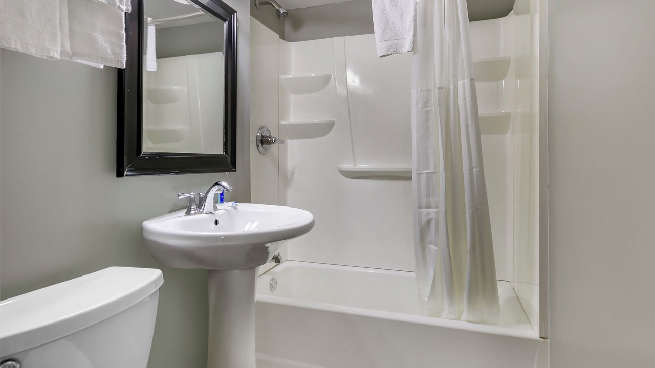 Photo of Others in Bristol