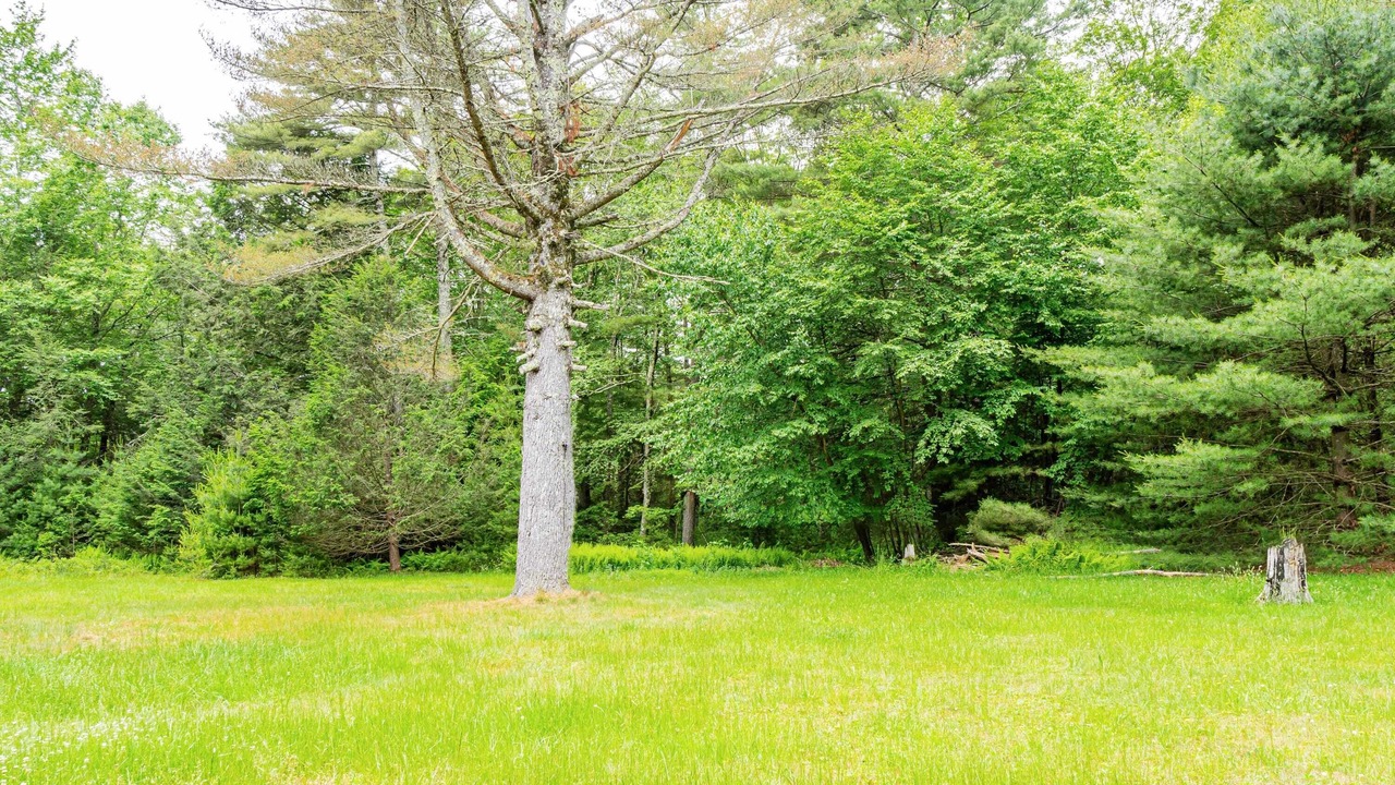 Photo of Outdoor in Barryville