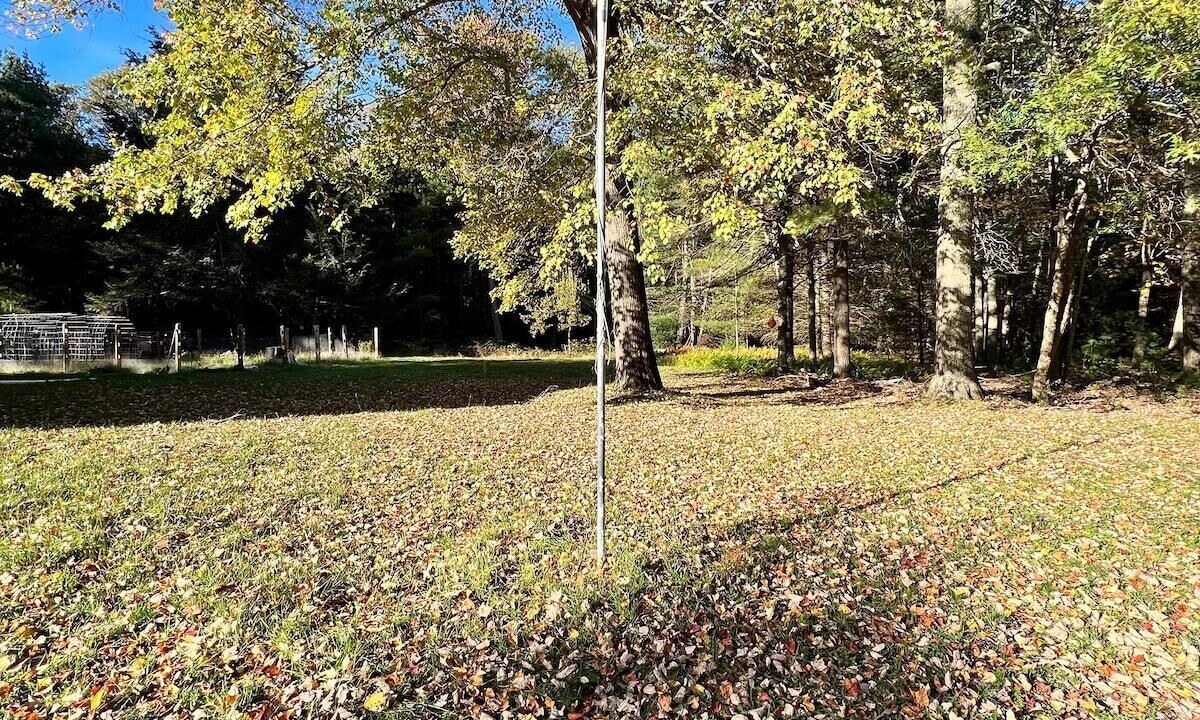 Photo of Outdoor in Barryville