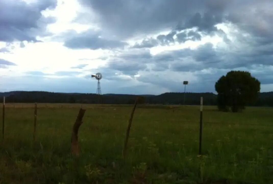 Photo of Outdoor in Blue