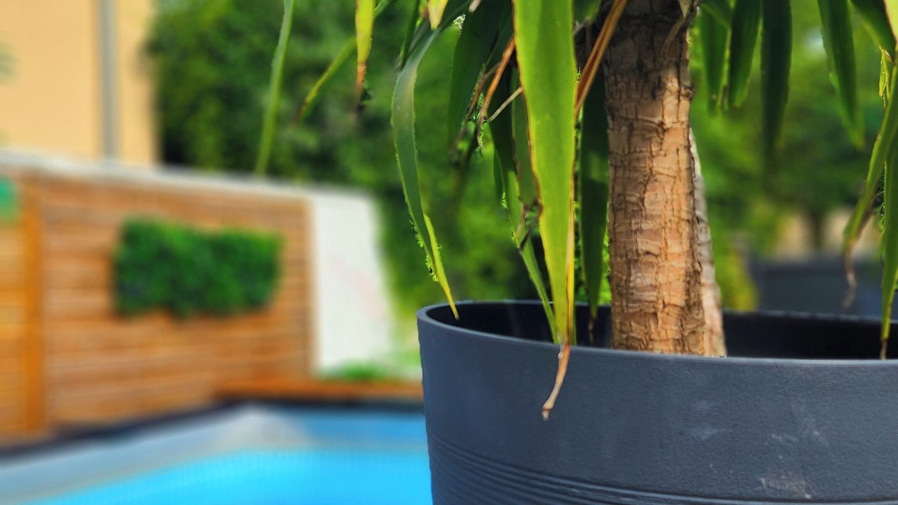 Photo of Outdoor in Gagny