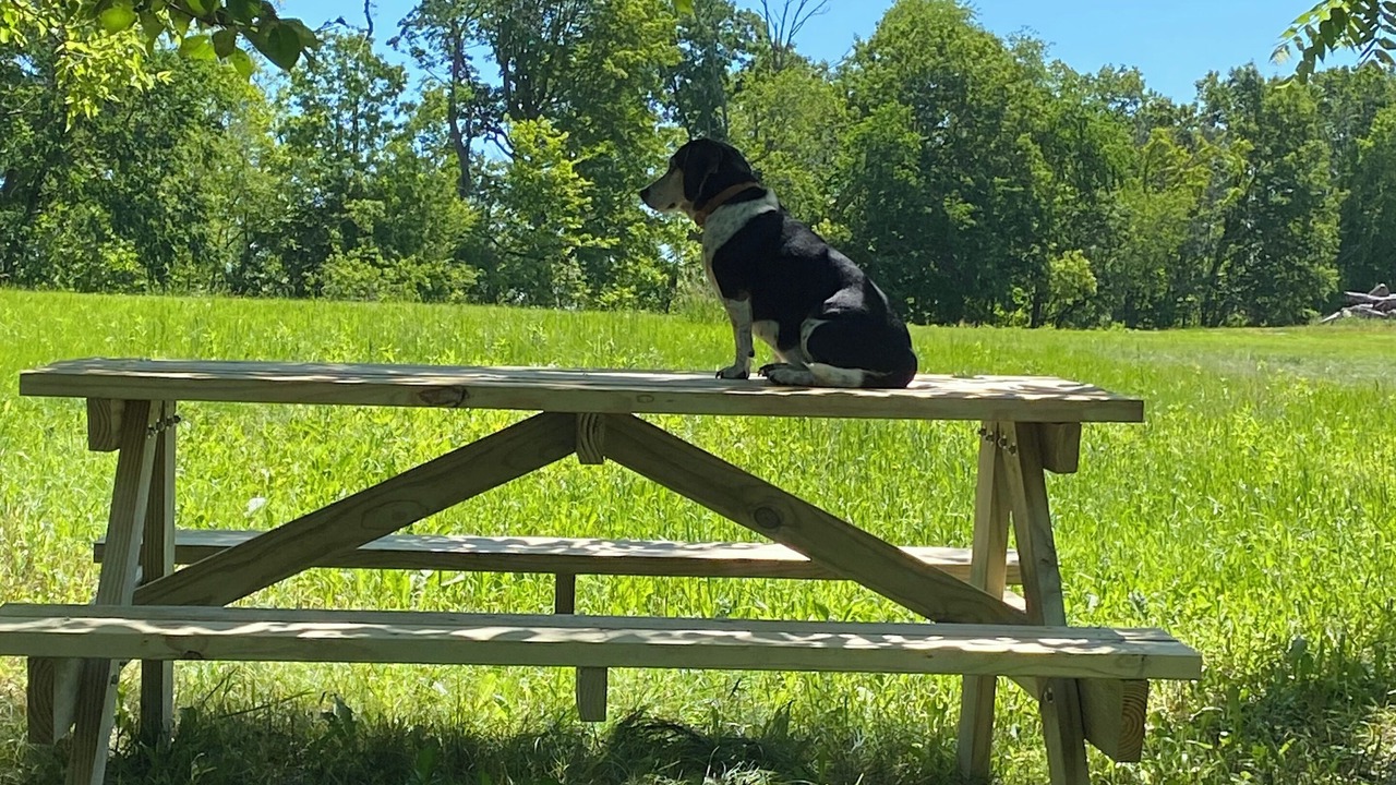 Photo of Outdoor in Viroqua