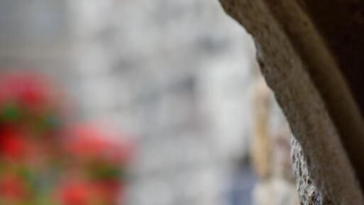 Photo of Others in La Garde Guerin