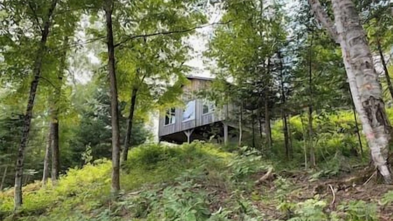 Photo of Outdoor in Indian Lake
