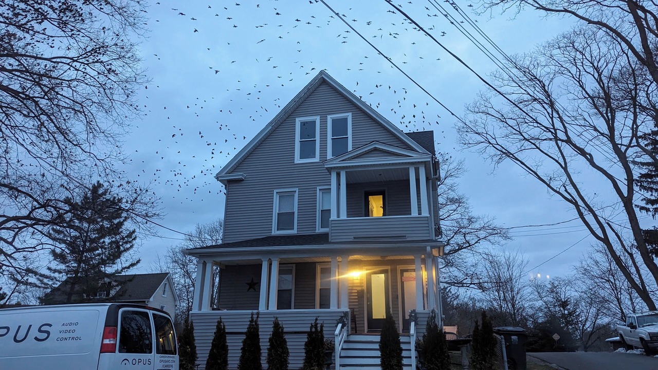 Photo of Outdoor in Fairfield