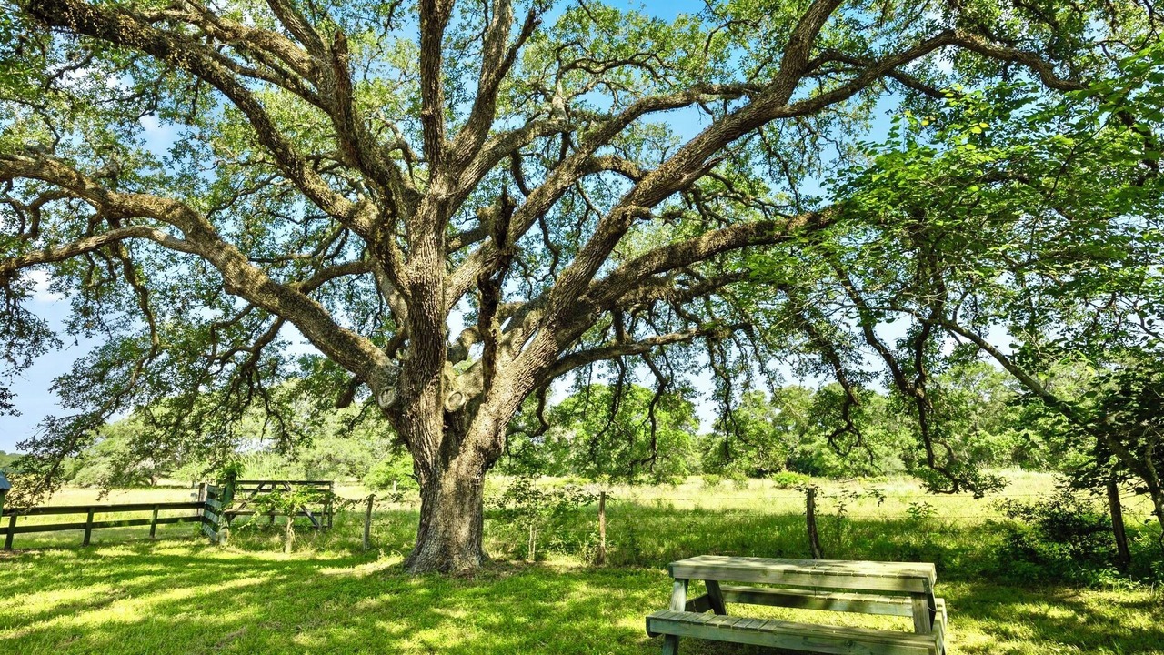 Photo of Outdoor in Garwood