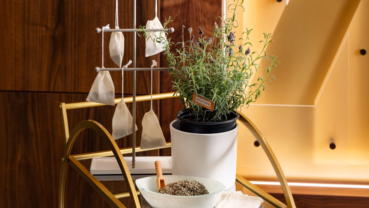 Photo of Others in Newtown Square