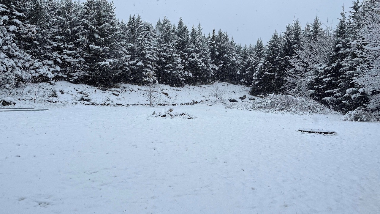 Photo of Others in Head of Jeddore