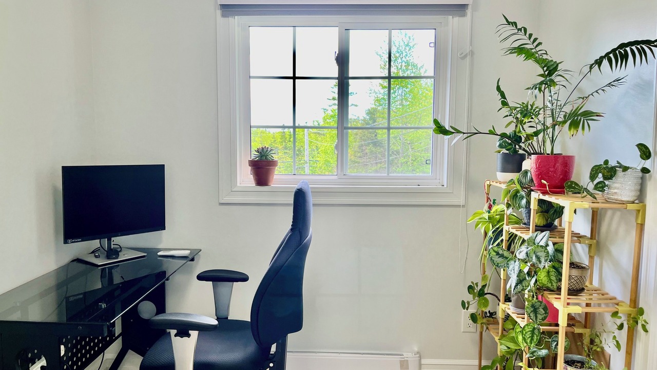 Photo of Others in Head of Jeddore